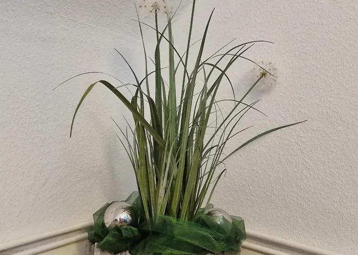 公寓 Haus Peter 4 *